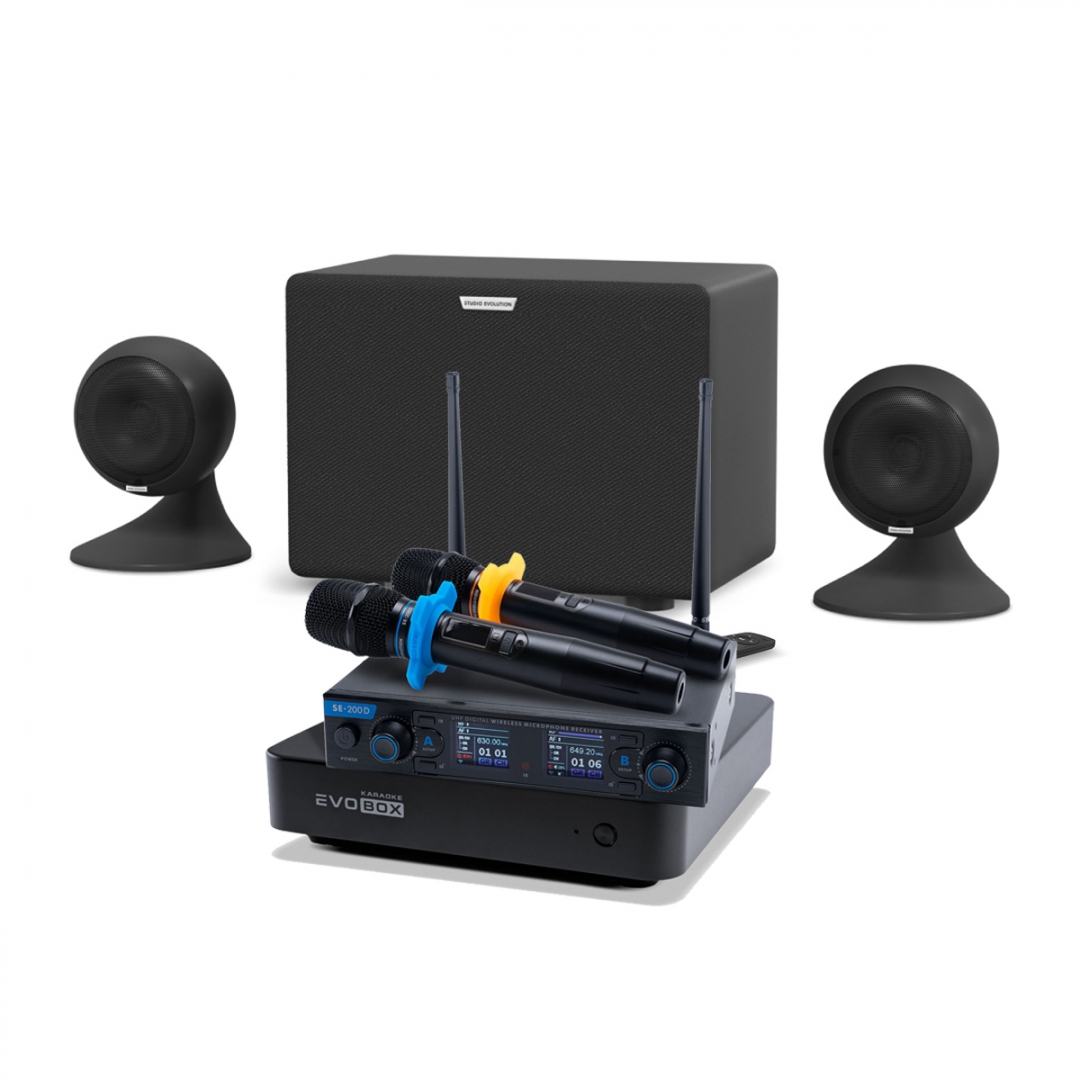 караоке-комплект EVOBOX + EvoSound Sphere 2.1 в Мордовии