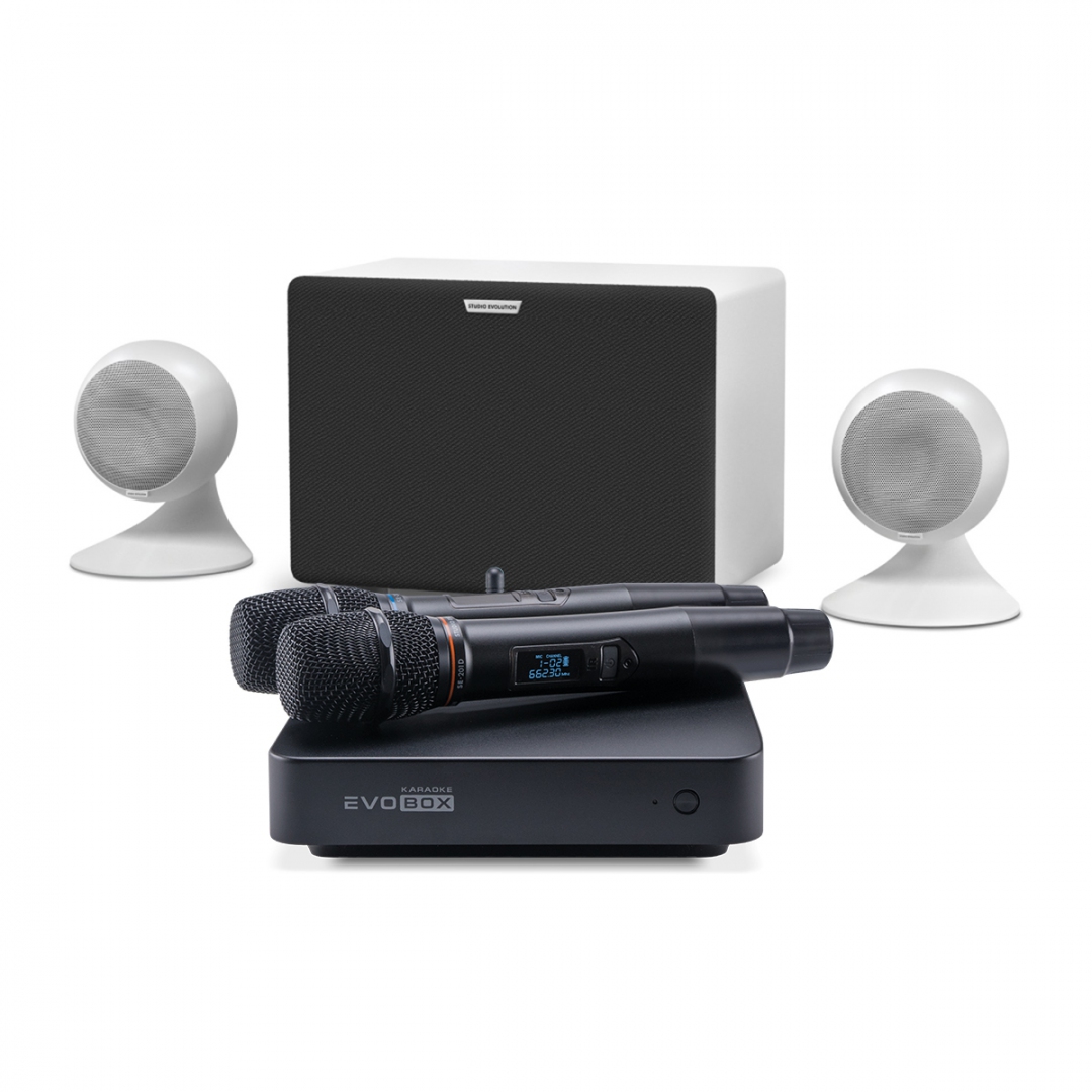 караоке-комплект EVOBOX Classic + EvoSound Sphere 2.1 в Мордовии