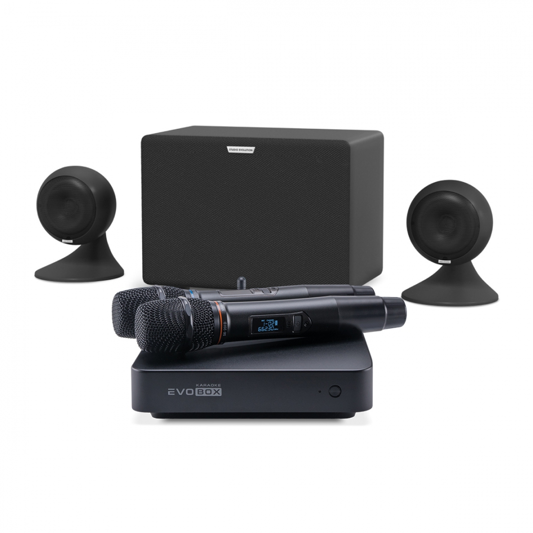 караоке-комплект EVOBOX Plus + EvoSound Sphere 2.1 в Мордовии
