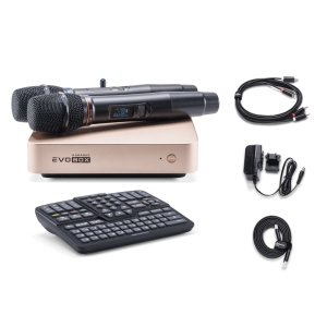 EVOBOX Classic караоке-система для дома в Мордовии