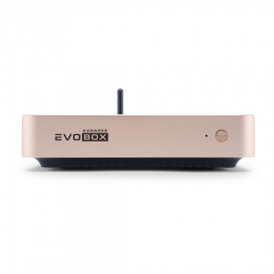 EVOBOX Plus караоке-система для дома в Мордовии
