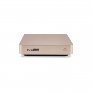 EVOBOX с микрофонами в Мордовии