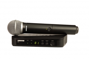 SHURE BLX24E/PG58 M17 вокальная радиосистема в Мордовии